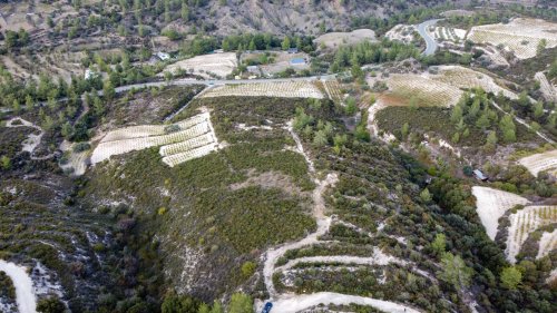 Plot of land 25284 m² for sale in Agios Mamas, Limassol, 4731