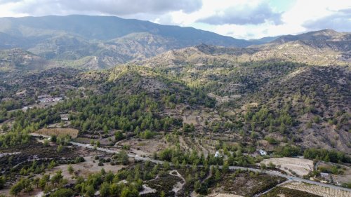 Plot of land 25284 m² for sale in Agios Mamas, Limassol, 4731