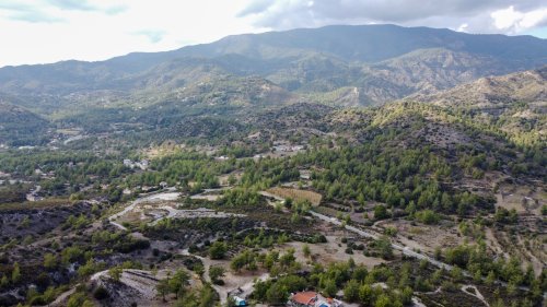 Plot of land 25284 m² for sale in Agios Mamas, Limassol, 4731