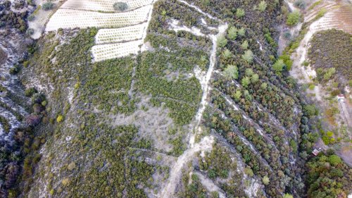 Plot of land 25284 m² for sale in Agios Mamas, Limassol, 4731