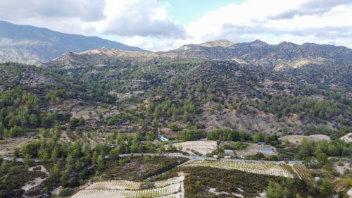 Plot of land 25284 m² for sale in Agios Mamas, Limassol, 4731