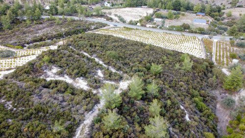 Plot of land 25284 m² for sale in Agios Mamas, Limassol, 4731