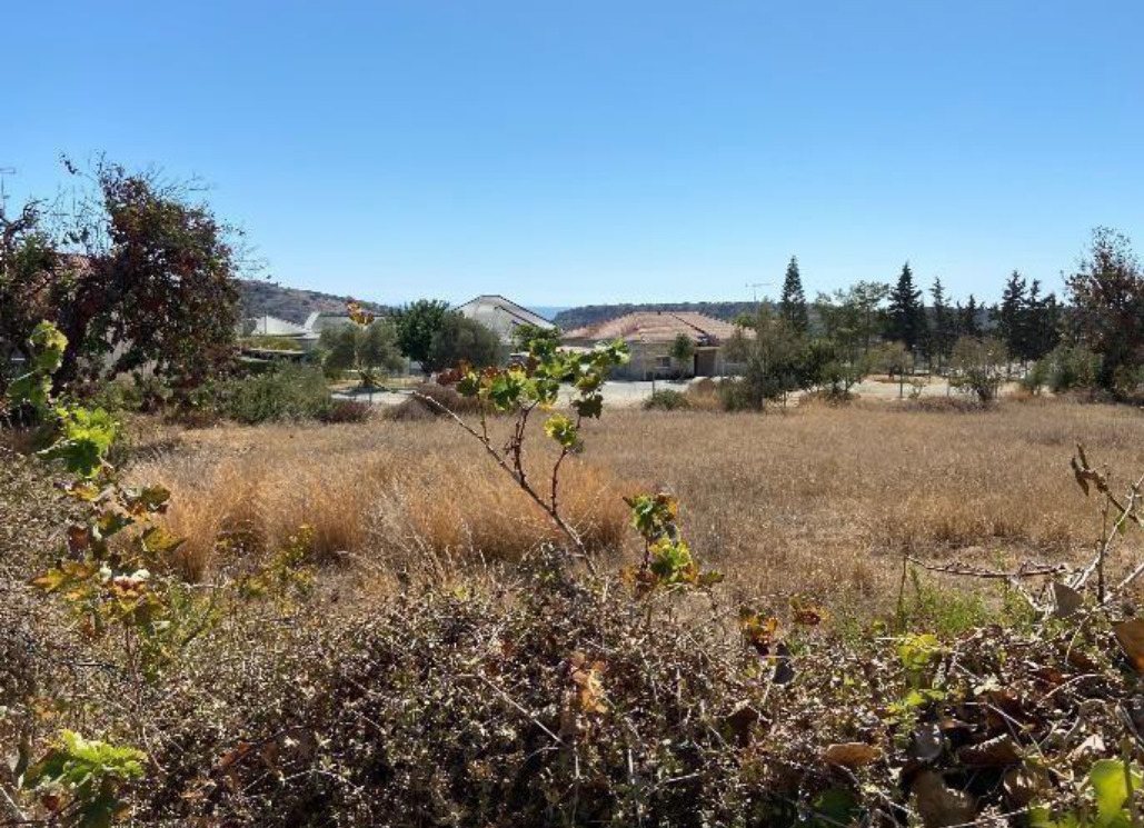 Земля в agios-tychon, Кіпр [ID: 0602-241329]