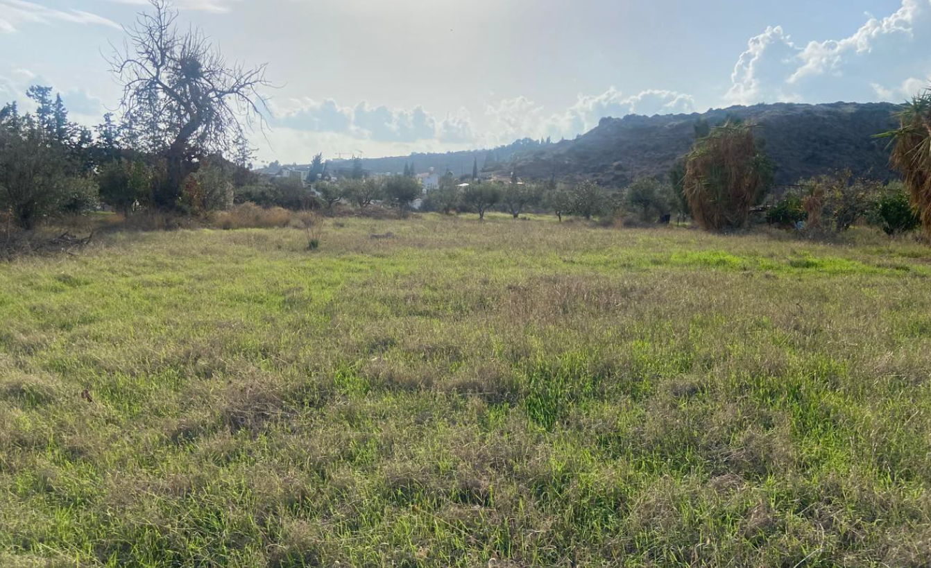 Земля в agios-tychon, Кіпр [ID: 0602-241329]