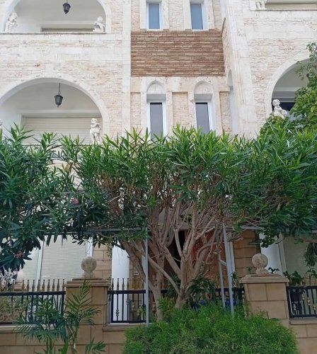 houses in zakaki, Cyprus, 362.00m²