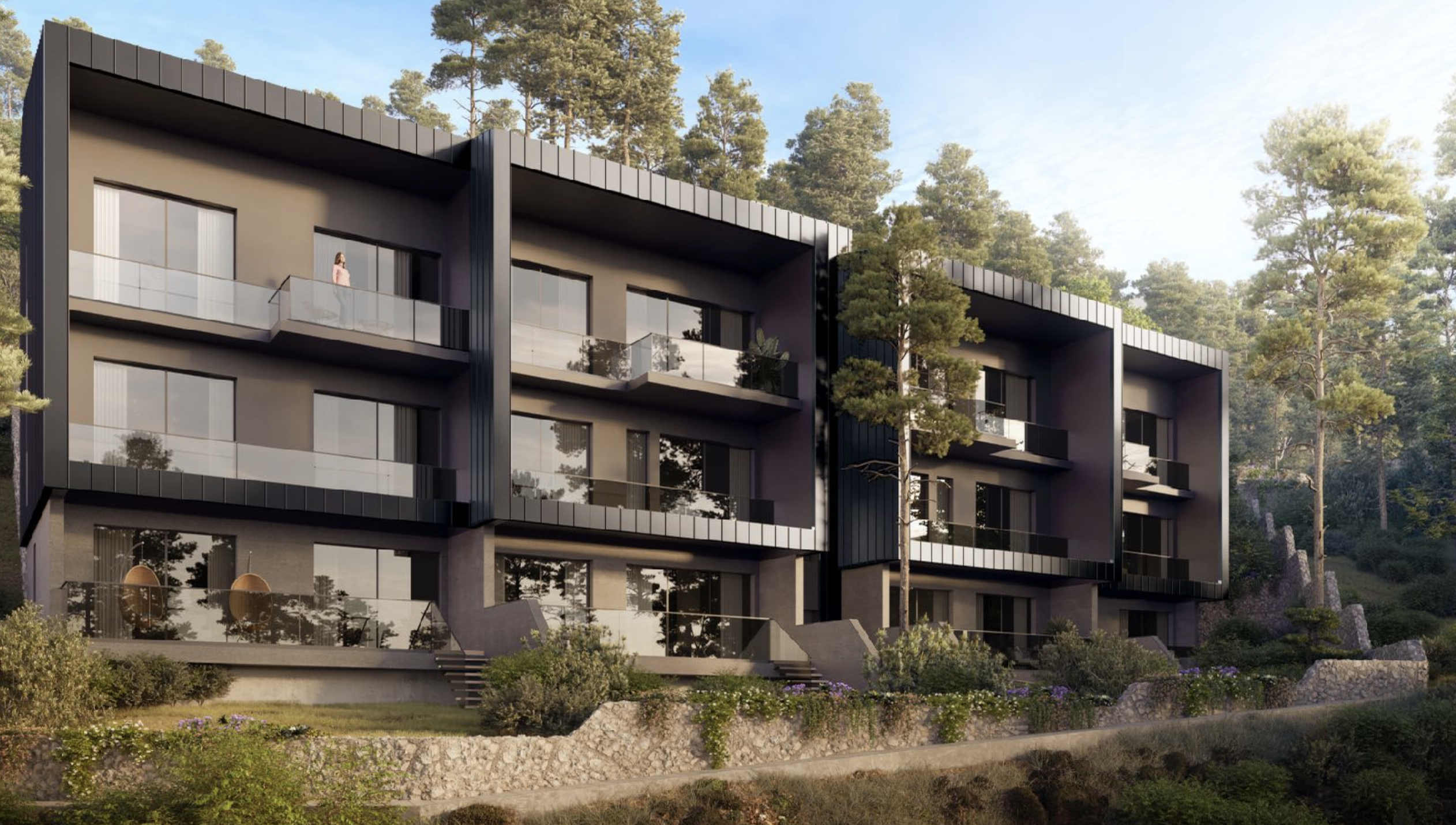 صورة الخاصية 2