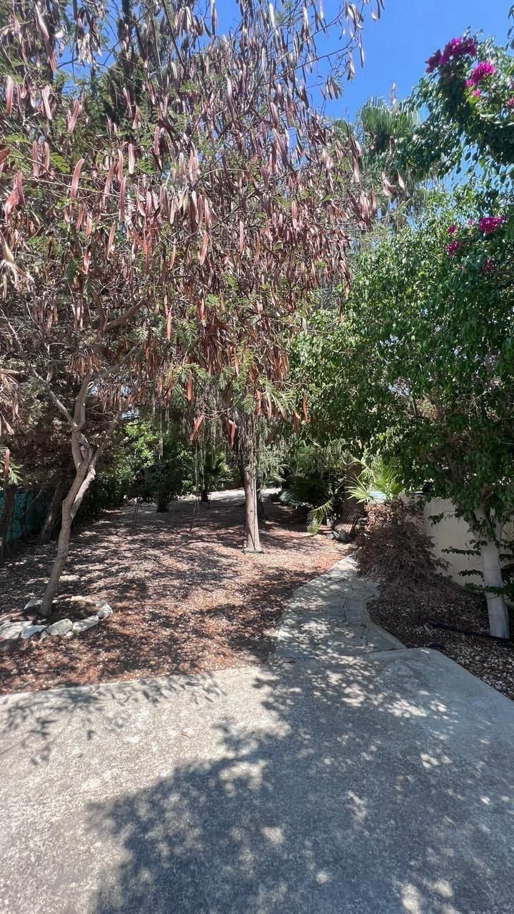 4 bedroom house 317 m² Parekklisia, Cyprus