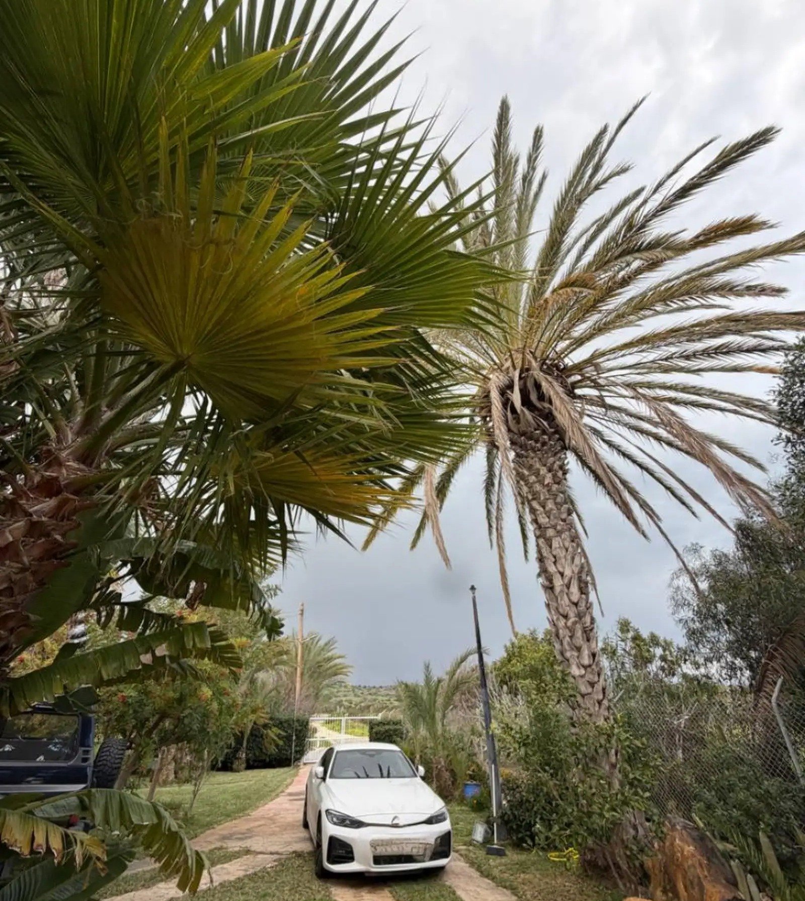 houses in agios-theodoros, Cyprus, 904.00m² - image 14