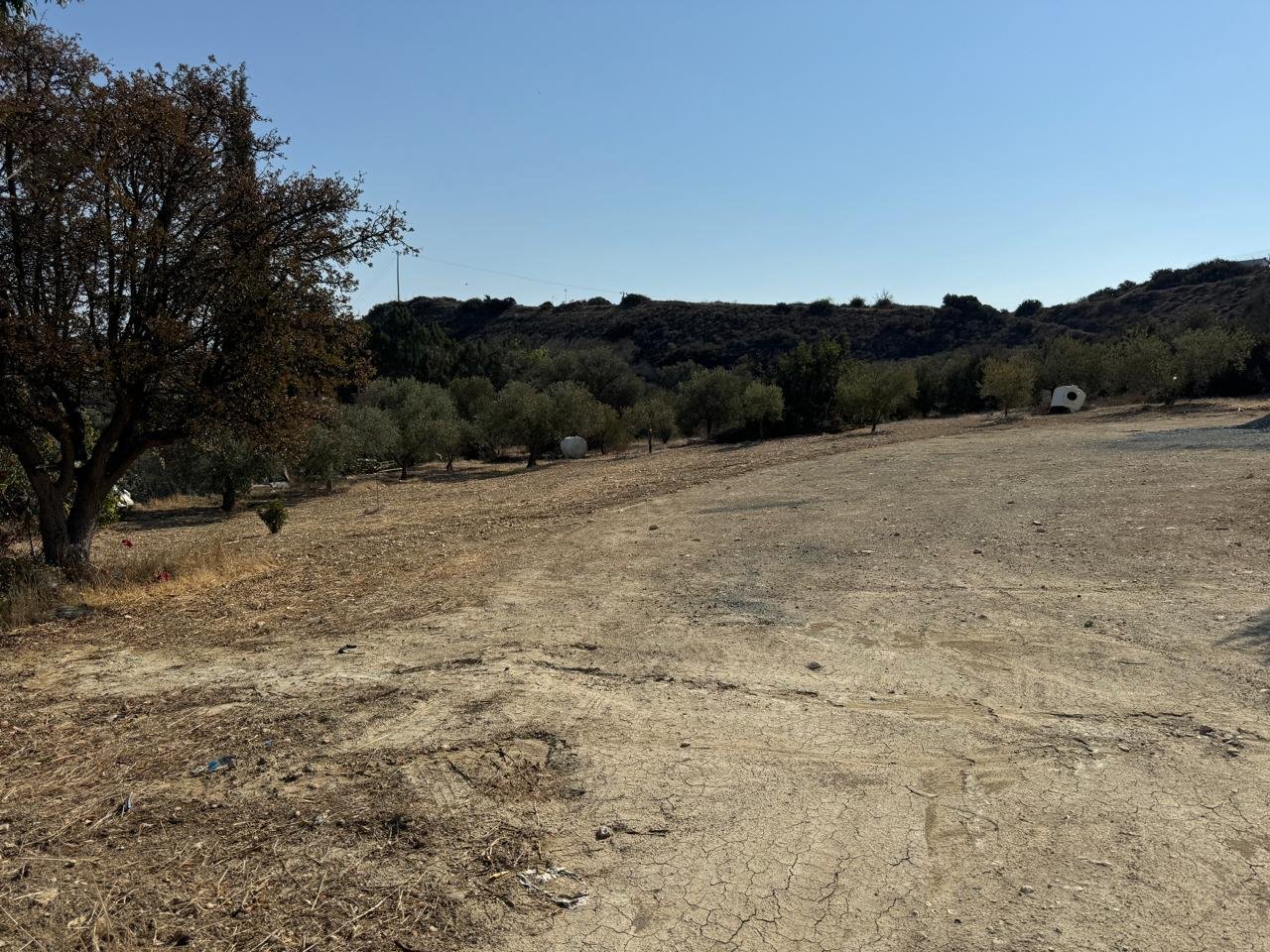 Земля в agios-tychon, Кіпр [ID: 0602-234294]