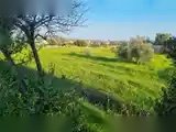 Земля в parekklisia, Кіпр - зображення 3