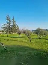 Земля в parekklisia, Кіпр - зображення 7