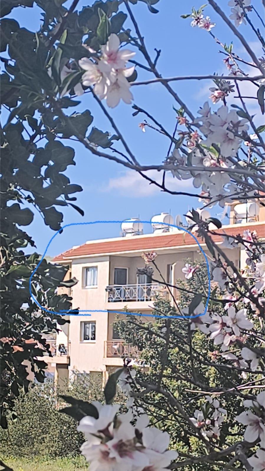 Apartment with 1 bedroom, 48.00m² in pegeia, Cyprus [ID: 0602-235991]