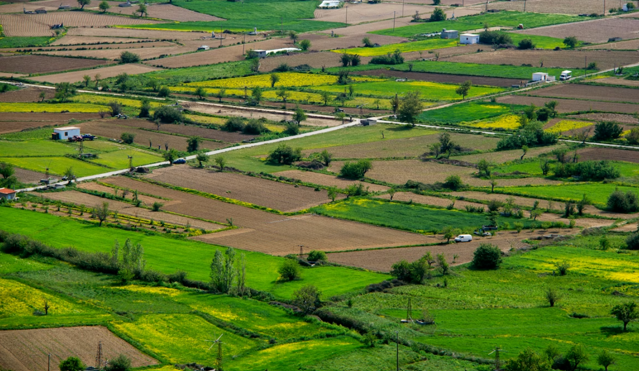 Parcelas  Chipre, Chipre